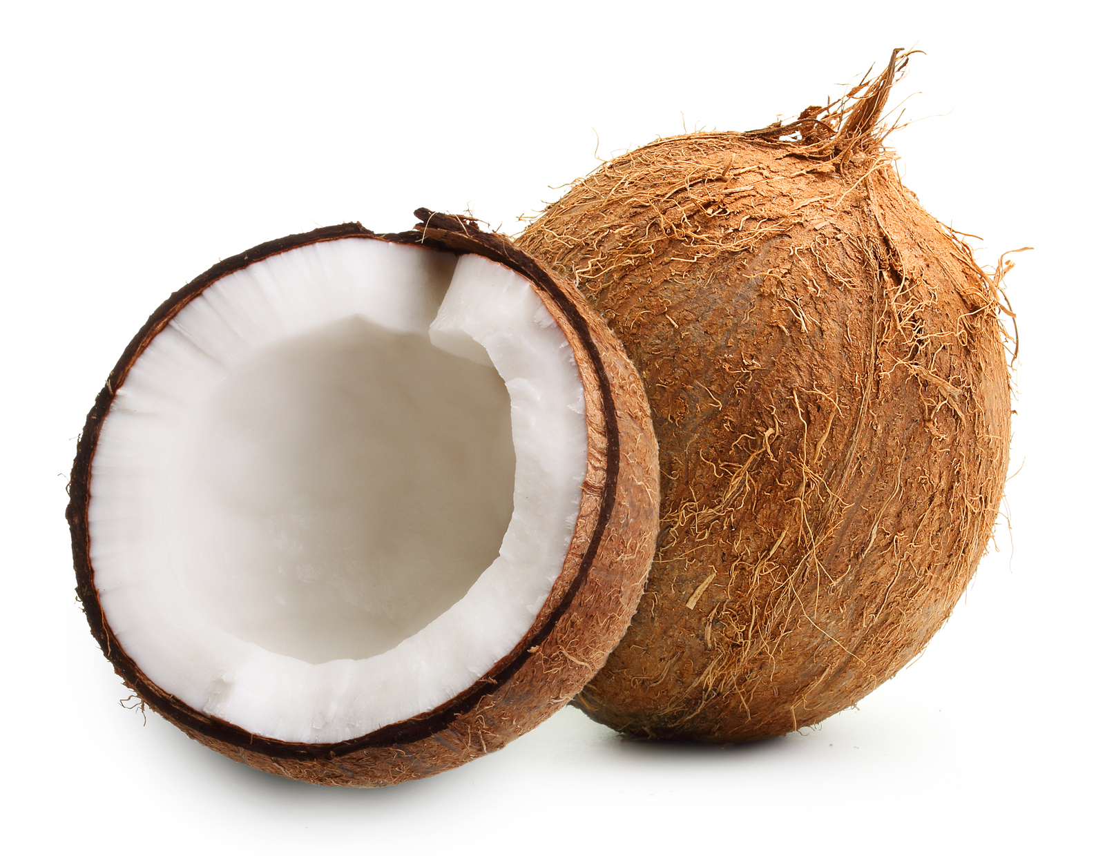 coconut