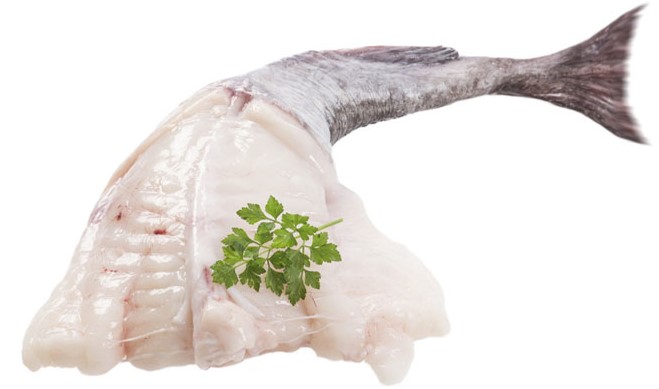 monkfish
